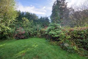 Garden- click for photo gallery